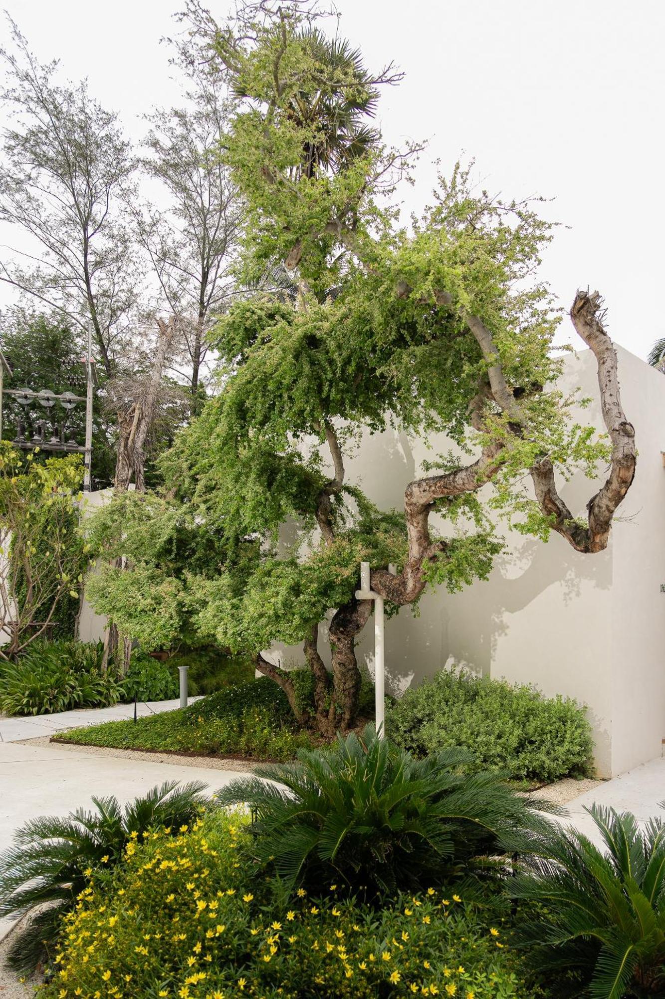 Eden Resort & Villas Phuket Patong Exterior photo
